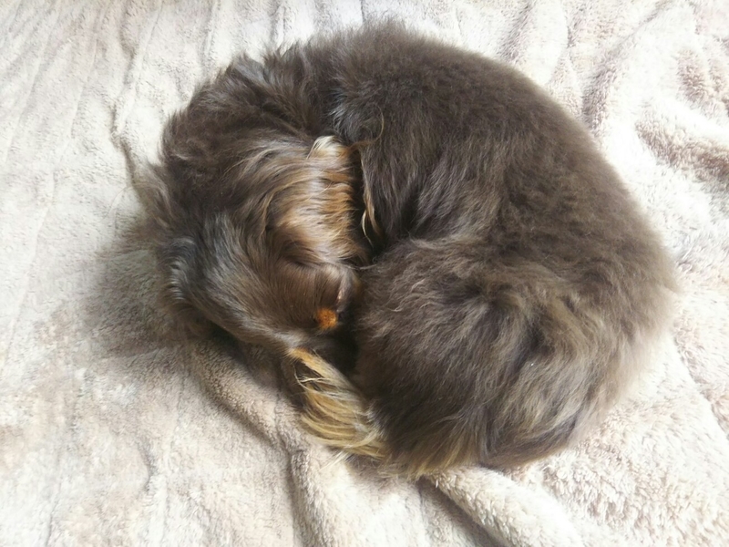 f:id:hirotaka72:20181222110042j:image:w415
