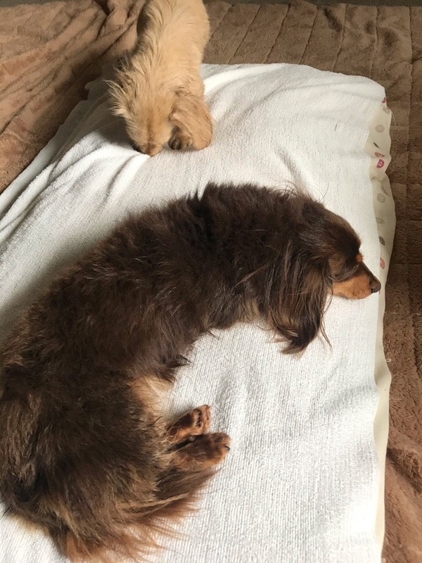 f:id:hirotaka72:20181223110630j:plain