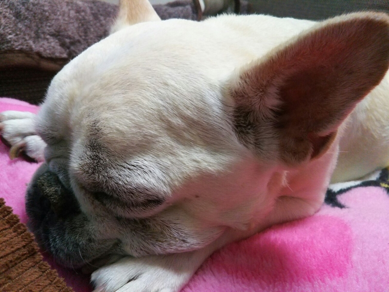 f:id:hirotaka72:20181223160557j:plain