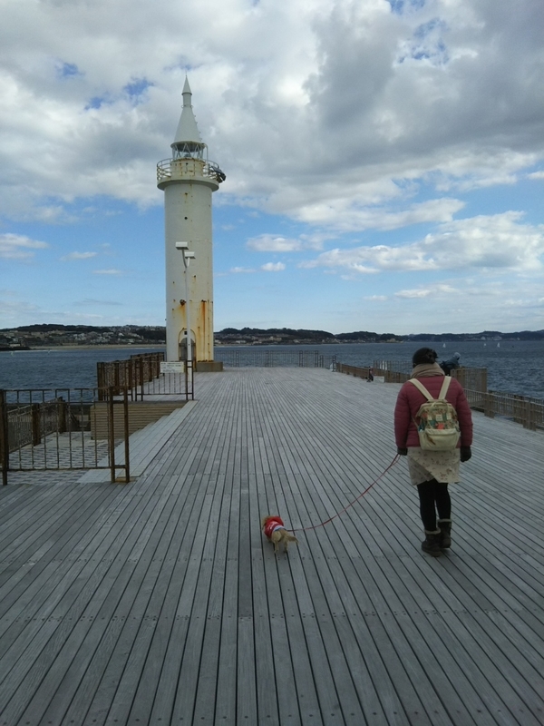 f:id:hirotaka72:20181224110554j:plain