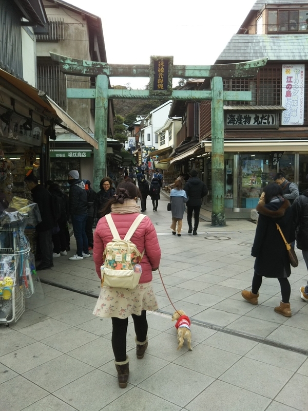 f:id:hirotaka72:20181224113342j:plain