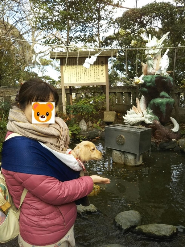 f:id:hirotaka72:20181224114830j:plain