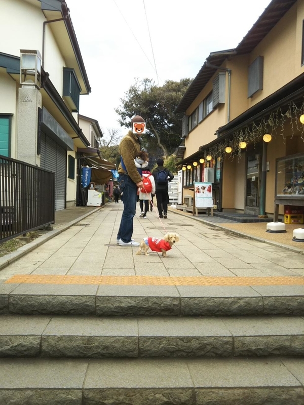 f:id:hirotaka72:20181224121130j:plain