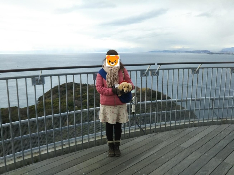 f:id:hirotaka72:20181224134109j:plain