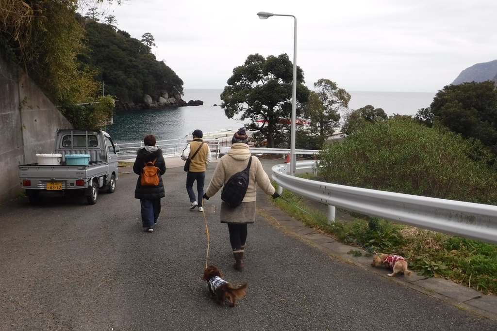 f:id:hirotaka72:20190112103722j:plain f:id:hirotaka72:20190112103722j:plain