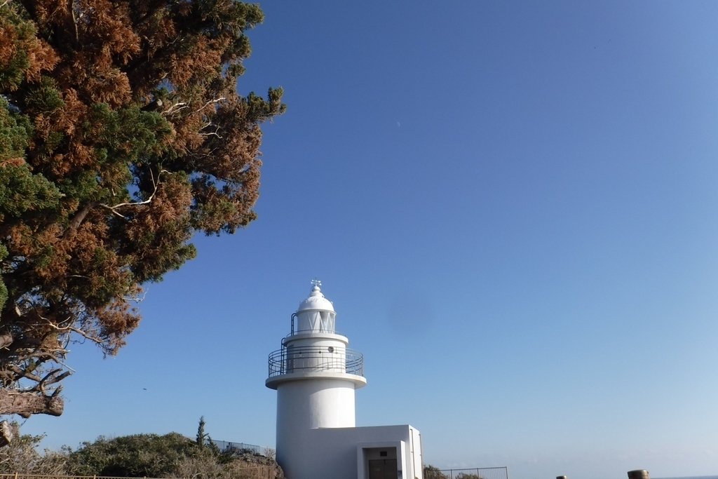 f:id:hirotaka72:20190113133254j:plain f:id:hirotaka72:20190113133254j:plain