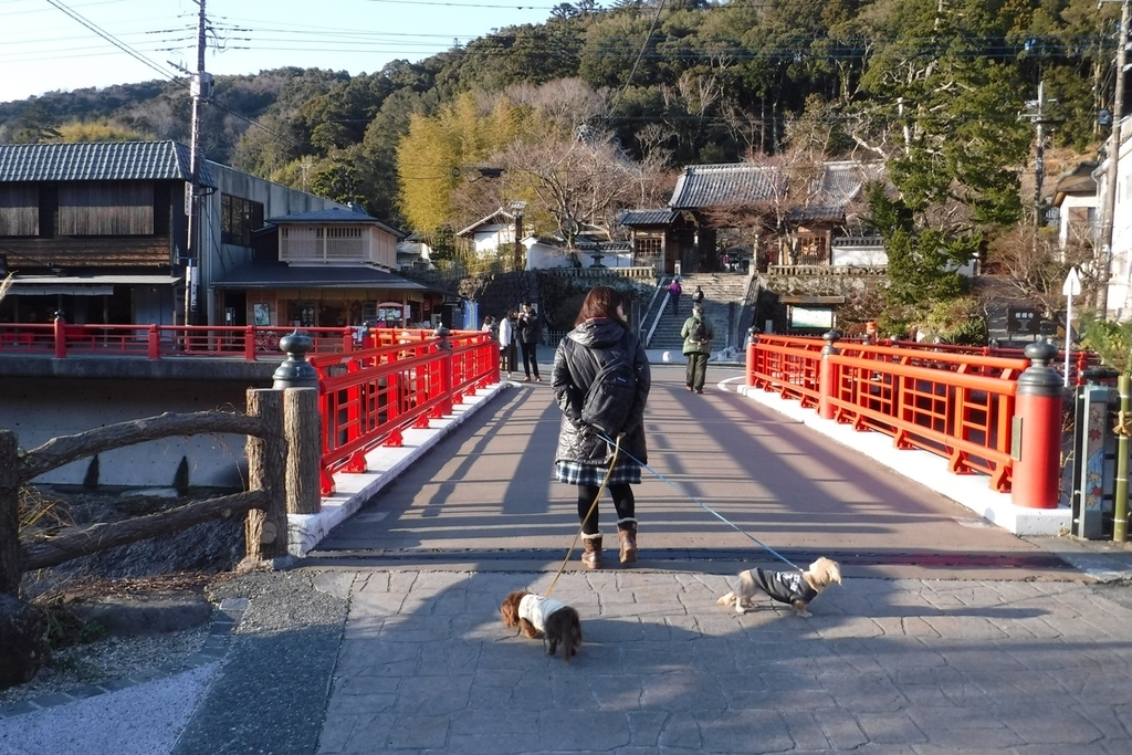 f:id:hirotaka72:20190114150954j:plain