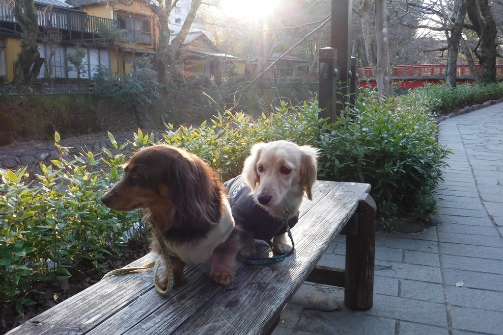 f:id:hirotaka72:20190114151403j:plain
