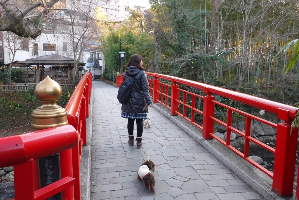 f:id:hirotaka72:20190114151547j:plain