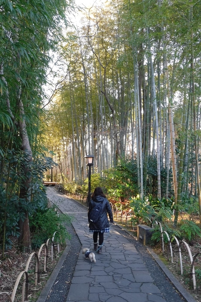 f:id:hirotaka72:20190114151733j:plain