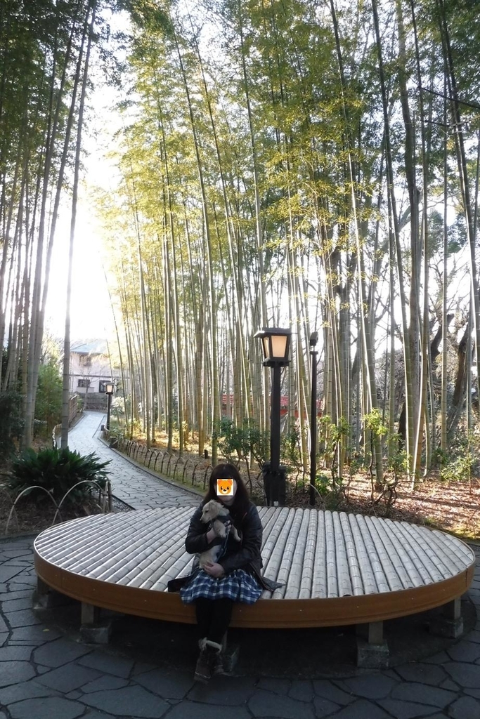 f:id:hirotaka72:20190114151832j:plain