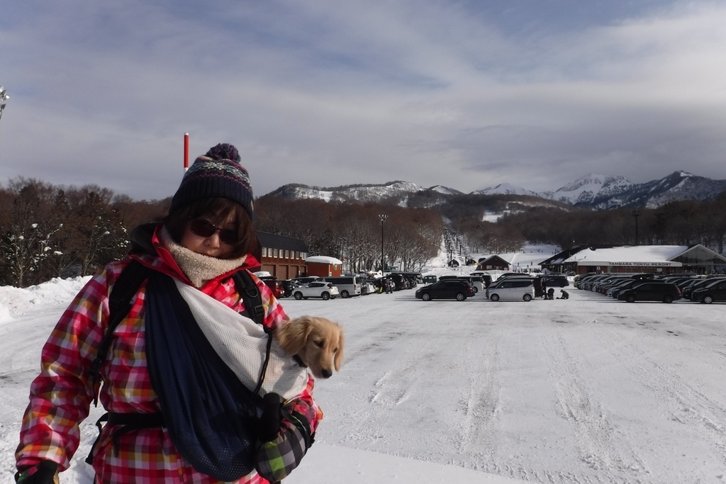 f:id:hirotaka72:20190120091233j:plain f:id:hirotaka72:20190120091233j:plain