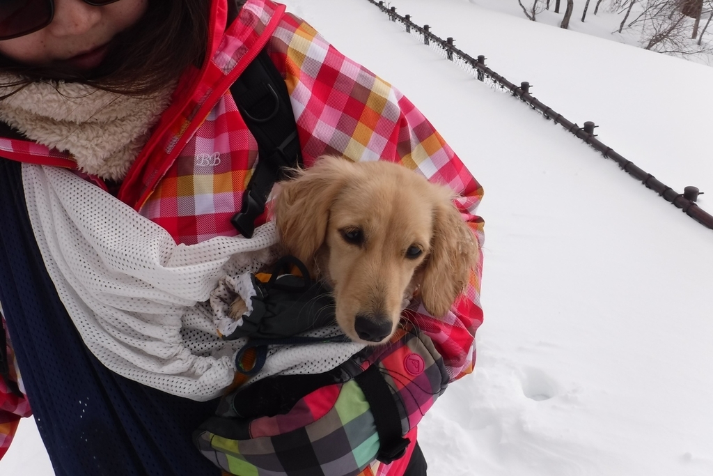 f:id:hirotaka72:20190120100813j:plain f:id:hirotaka72:20190120100813j:plain