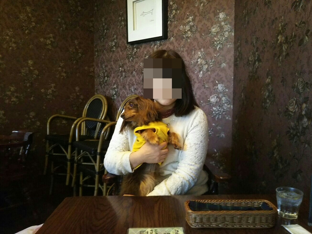f:id:hirotaka72:20190203112024j:plain f:id:hirotaka72:20190203112024j:plain