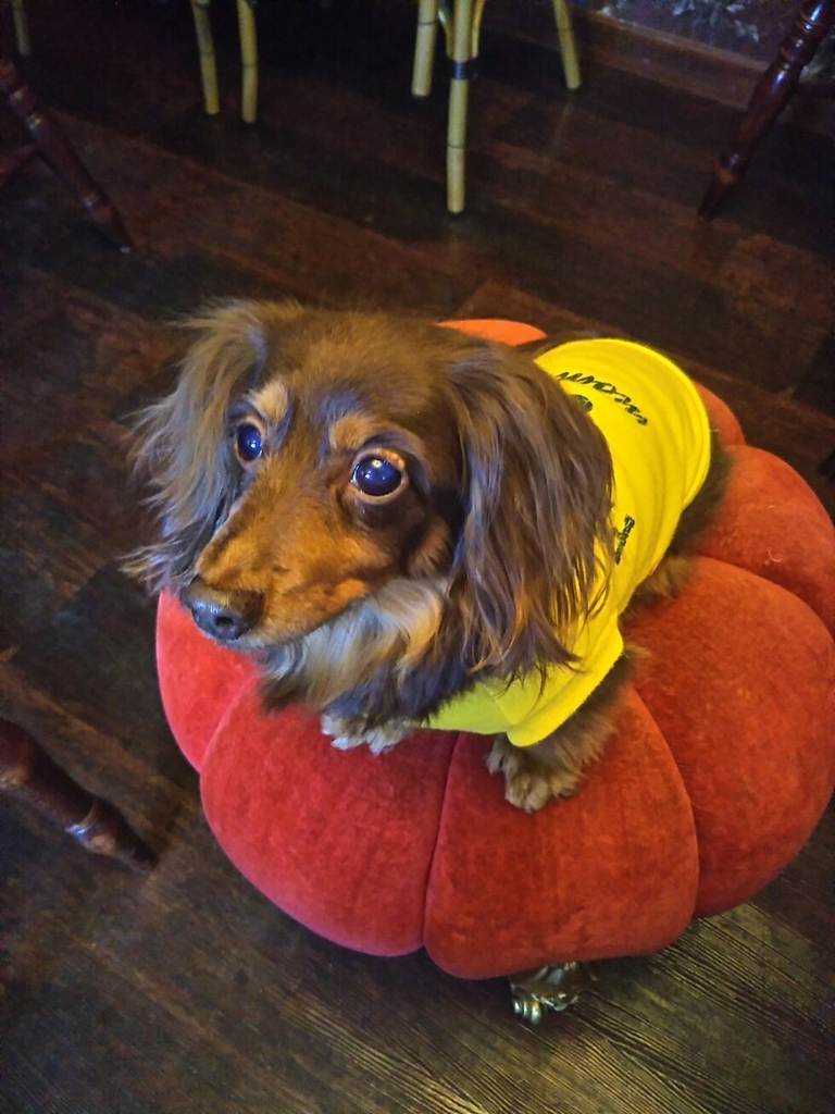 f:id:hirotaka72:20190203112731j:plain f:id:hirotaka72:20190203112731j:plain