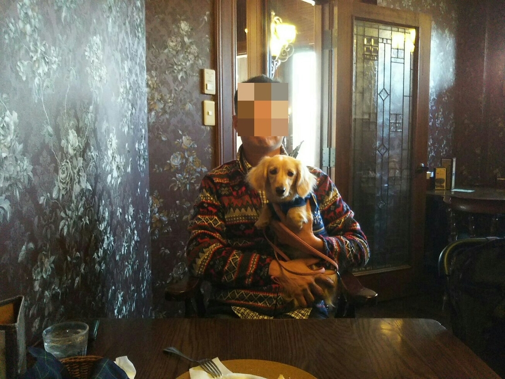 f:id:hirotaka72:20190203113804j:plain f:id:hirotaka72:20190203113804j:plain