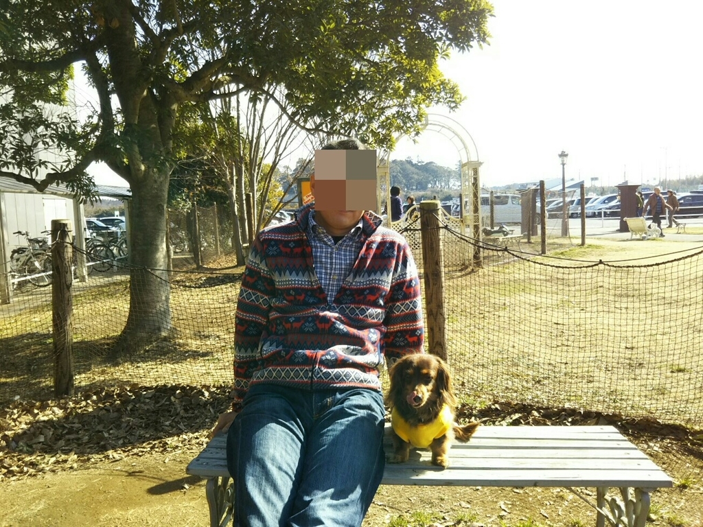 f:id:hirotaka72:20190203120947j:plain f:id:hirotaka72:20190203120947j:plain