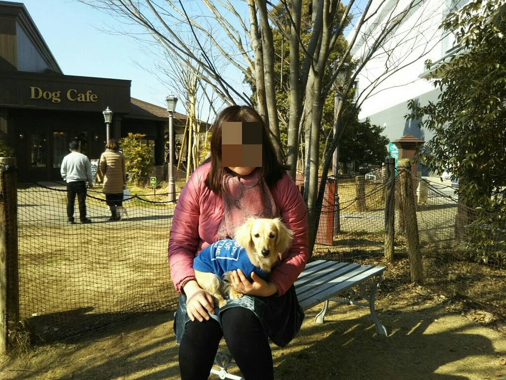f:id:hirotaka72:20190203121011j:plain f:id:hirotaka72:20190203121011j:plain