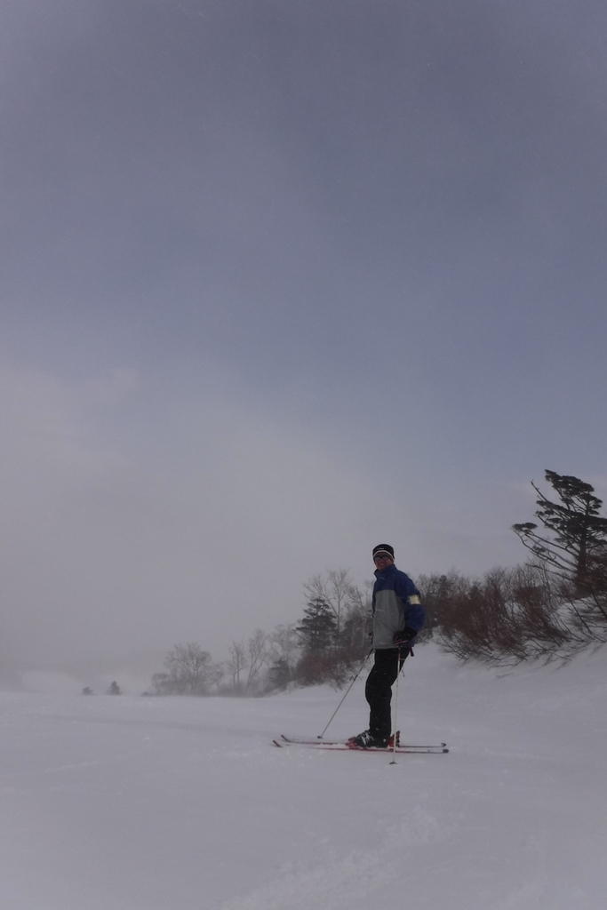 f:id:hirotaka72:20190216140945j:plain f:id:hirotaka72:20190216140945j:plain