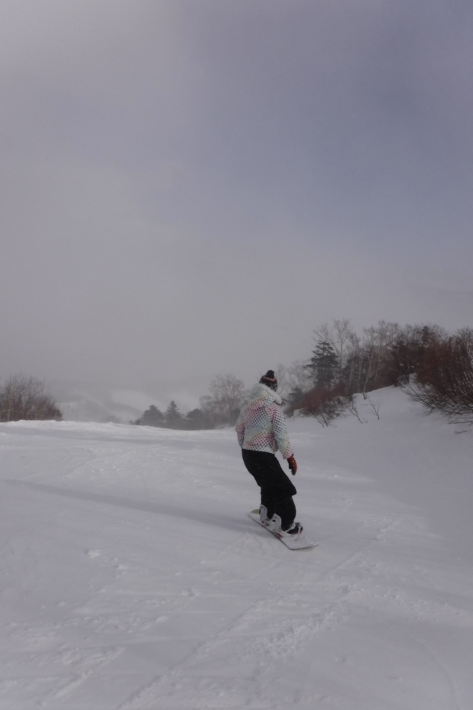 f:id:hirotaka72:20190216141008j:plain f:id:hirotaka72:20190216141008j:plain
