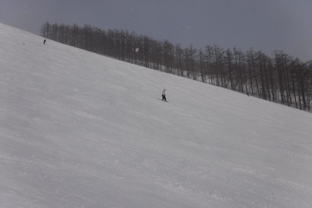 f:id:hirotaka72:20190216152255j:plain f:id:hirotaka72:20190216152255j:plain