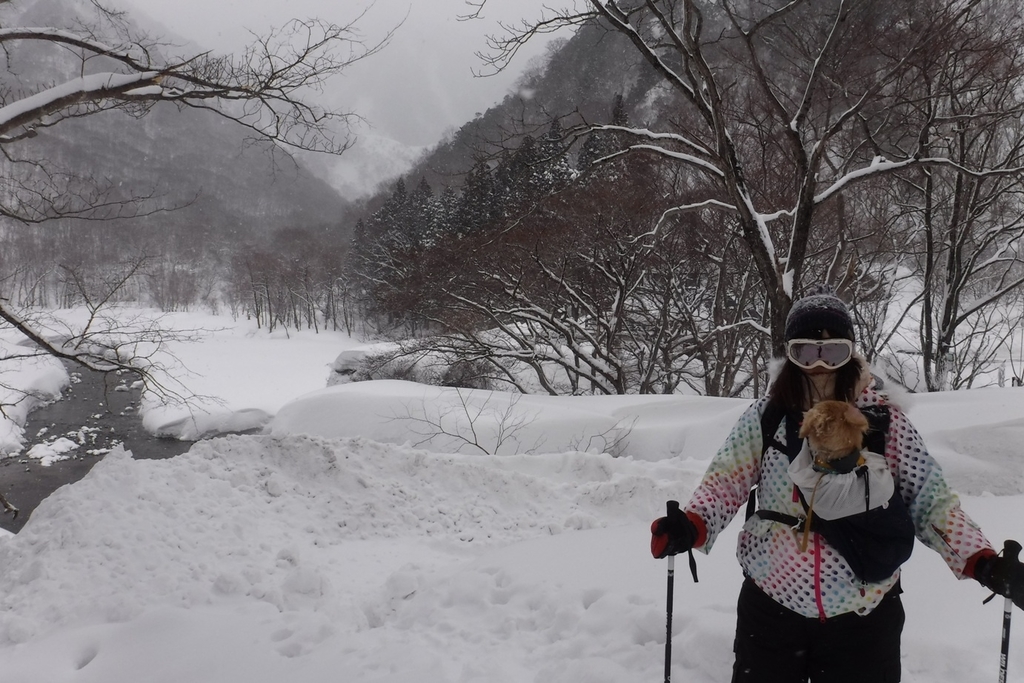 f:id:hirotaka72:20190217093956j:plain f:id:hirotaka72:20190217093956j:plain