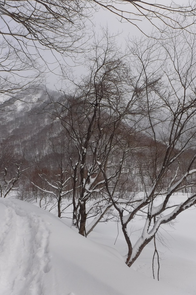 f:id:hirotaka72:20190217095057j:plain f:id:hirotaka72:20190217095057j:plain