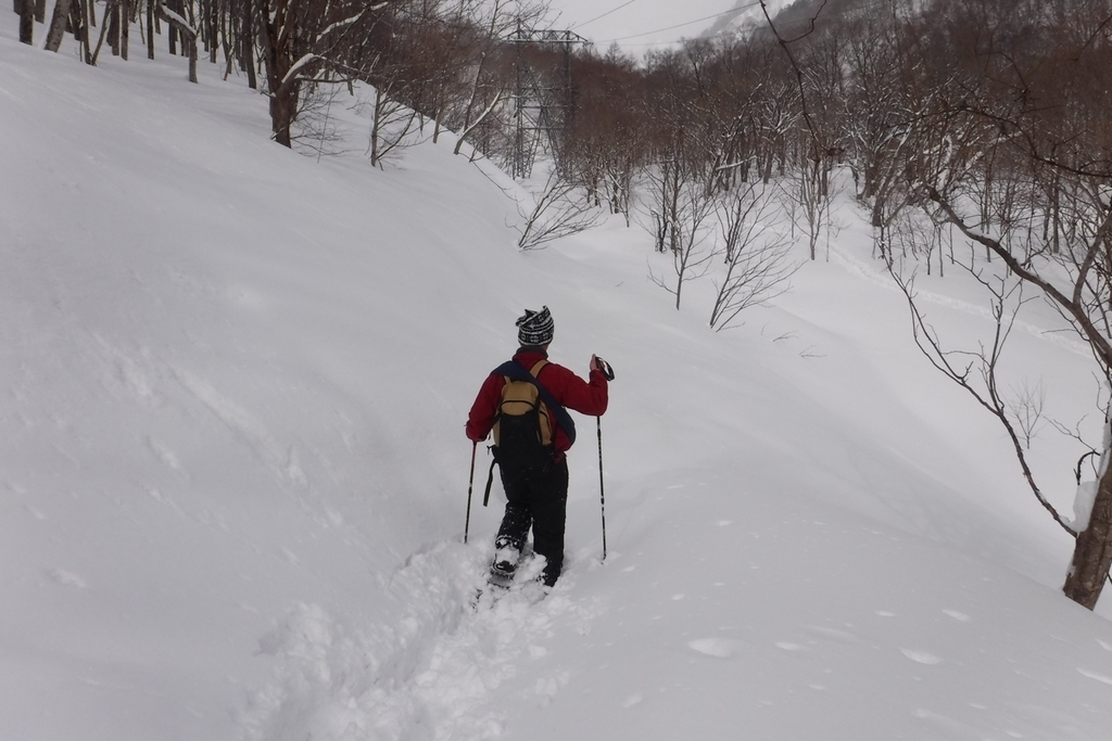 f:id:hirotaka72:20190217101353j:plain f:id:hirotaka72:20190217101353j:plain