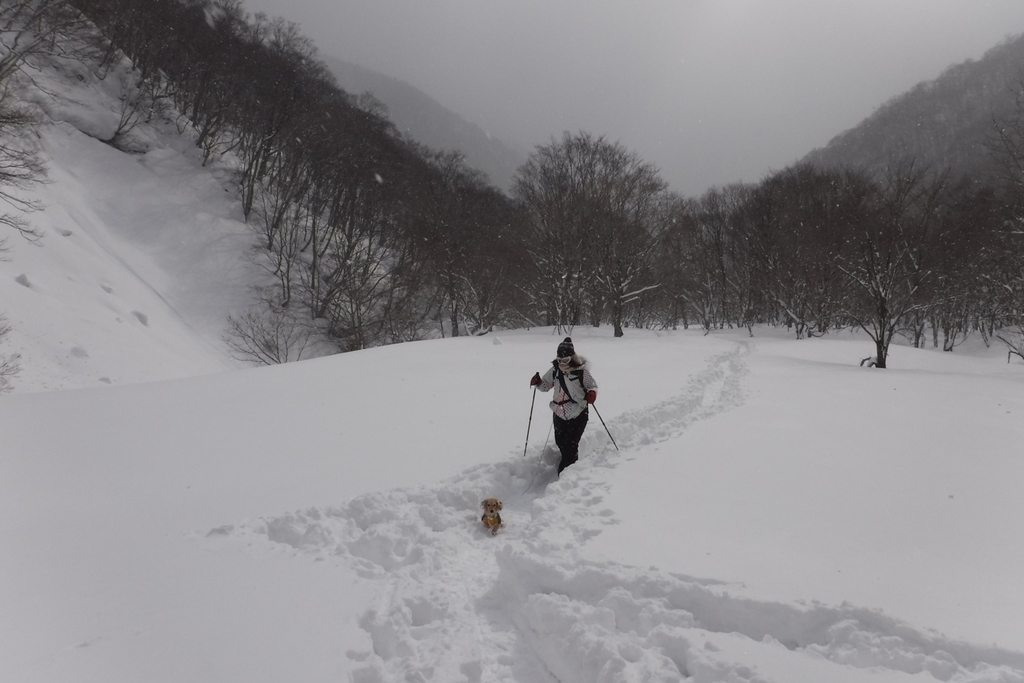 f:id:hirotaka72:20190217102557j:plain f:id:hirotaka72:20190217102557j:plain