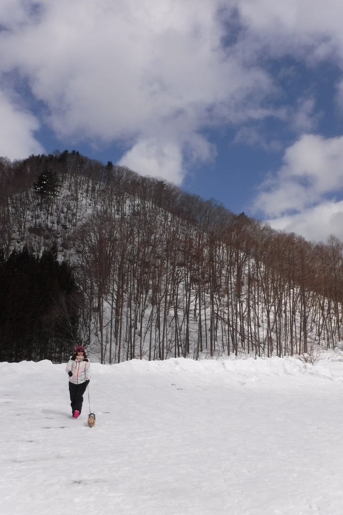 f:id:hirotaka72:20190218122415j:plain f:id:hirotaka72:20190218122415j:plain