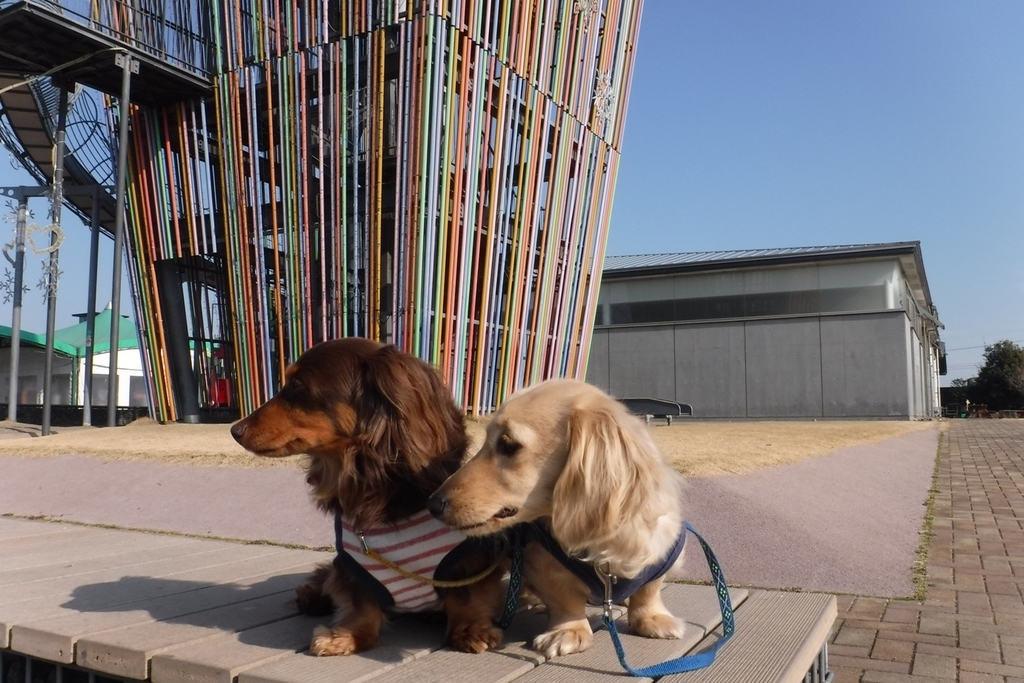 f:id:hirotaka72:20190223085048j:plain f:id:hirotaka72:20190223085048j:plain