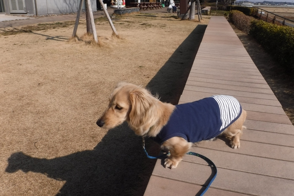 f:id:hirotaka72:20190223093027j:plain f:id:hirotaka72:20190223093027j:plain