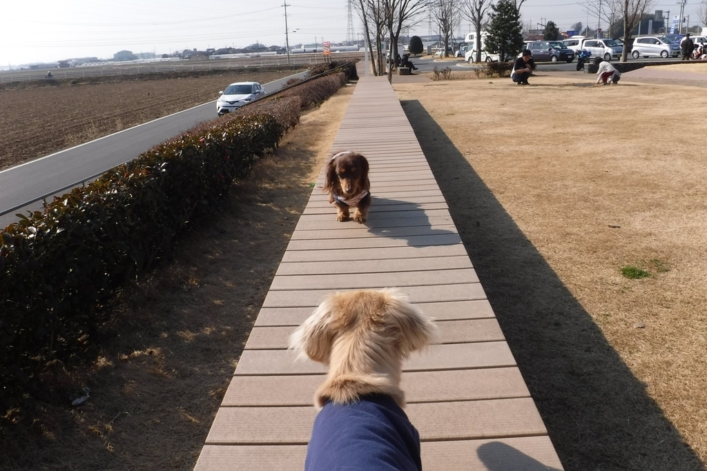 f:id:hirotaka72:20190223093342j:plain f:id:hirotaka72:20190223093342j:plain