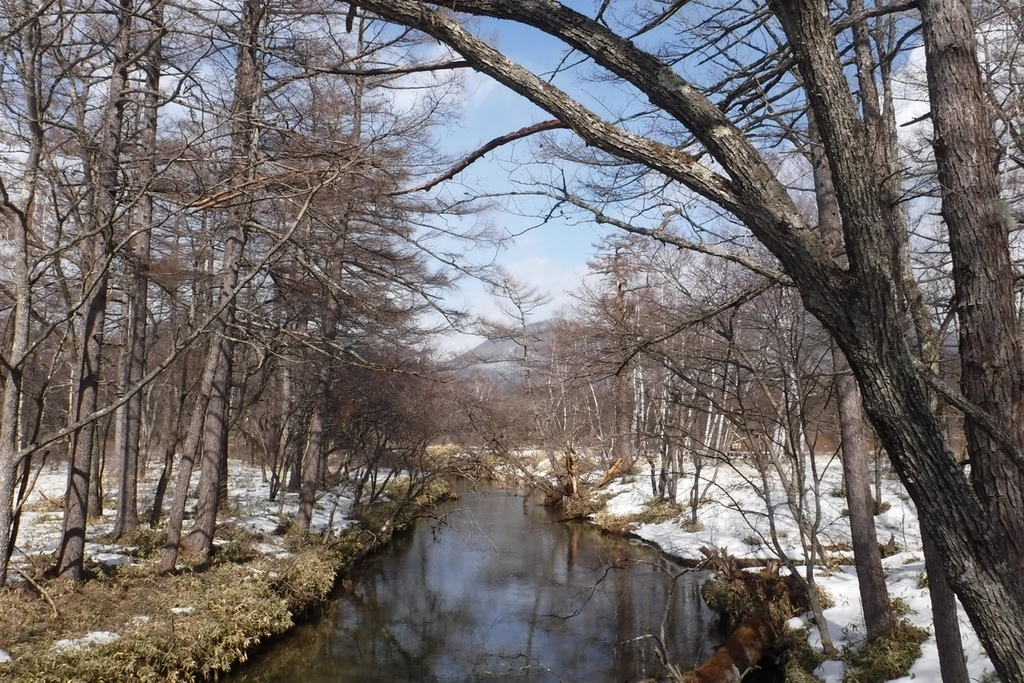 f:id:hirotaka72:20190223121413j:plain f:id:hirotaka72:20190223121413j:plain