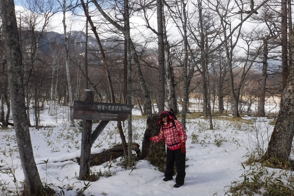 f:id:hirotaka72:20190223123940j:plain f:id:hirotaka72:20190223123940j:plain