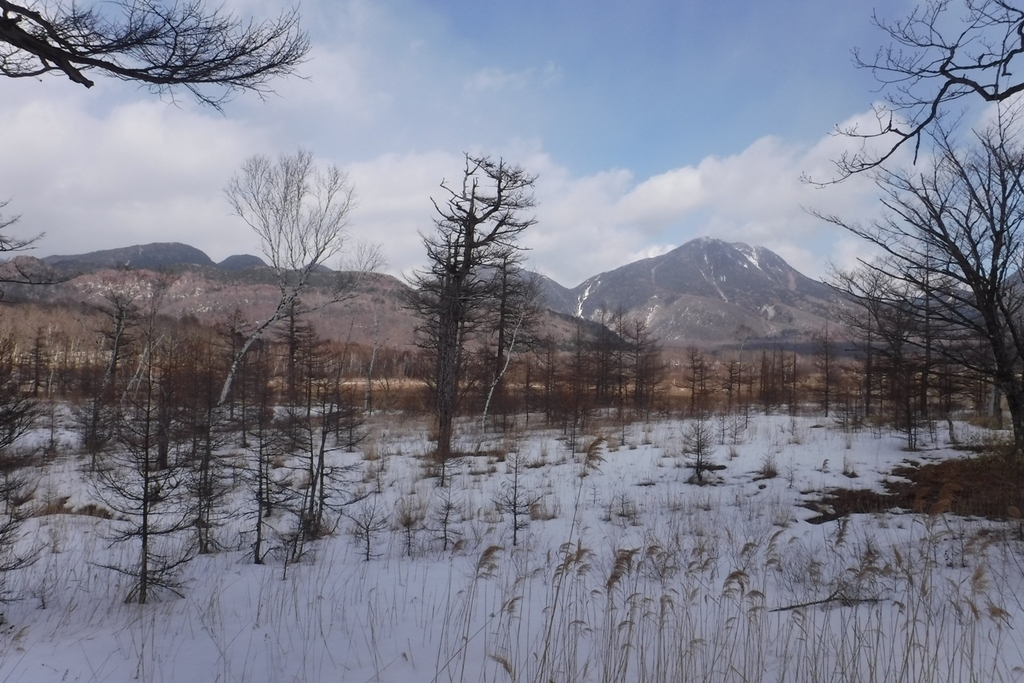 f:id:hirotaka72:20190223124037j:plain f:id:hirotaka72:20190223124037j:plain