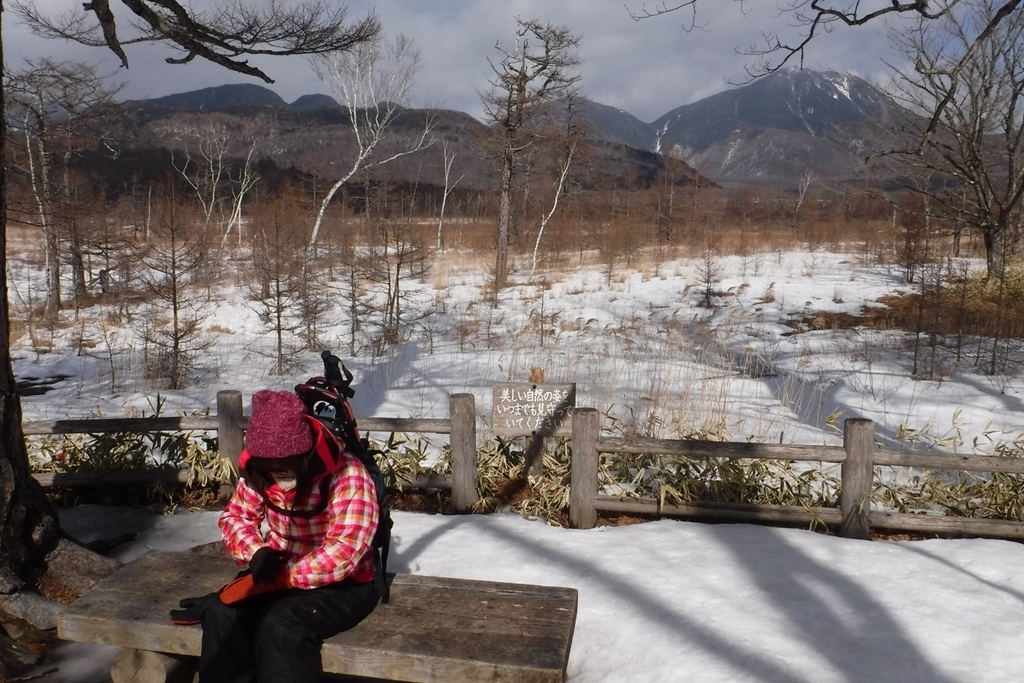 f:id:hirotaka72:20190223124219j:plain f:id:hirotaka72:20190223124219j:plain