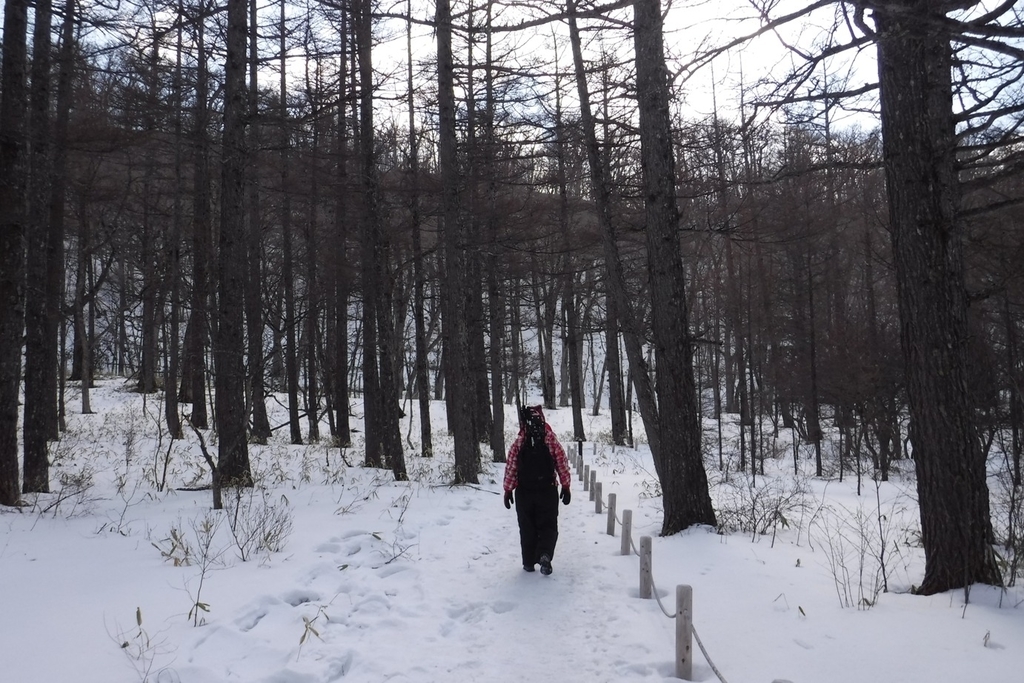 f:id:hirotaka72:20190223130116j:plain f:id:hirotaka72:20190223130116j:plain
