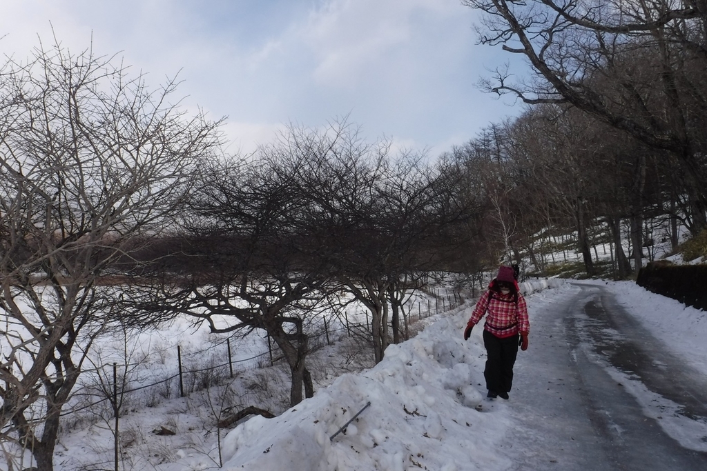 f:id:hirotaka72:20190223130848j:plain f:id:hirotaka72:20190223130848j:plain