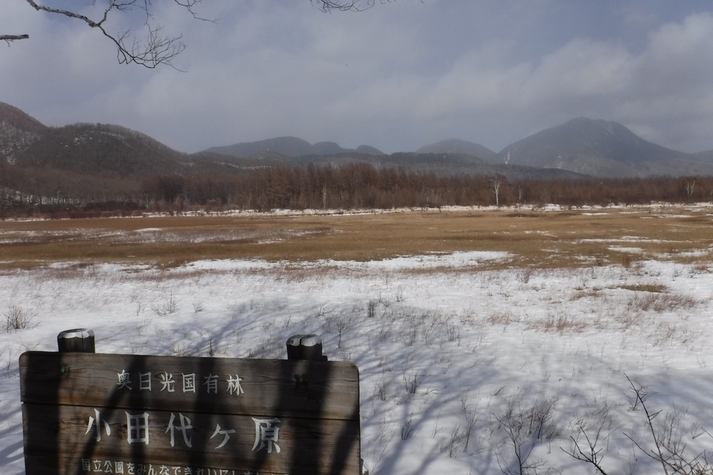 f:id:hirotaka72:20190223131332j:plain f:id:hirotaka72:20190223131332j:plain