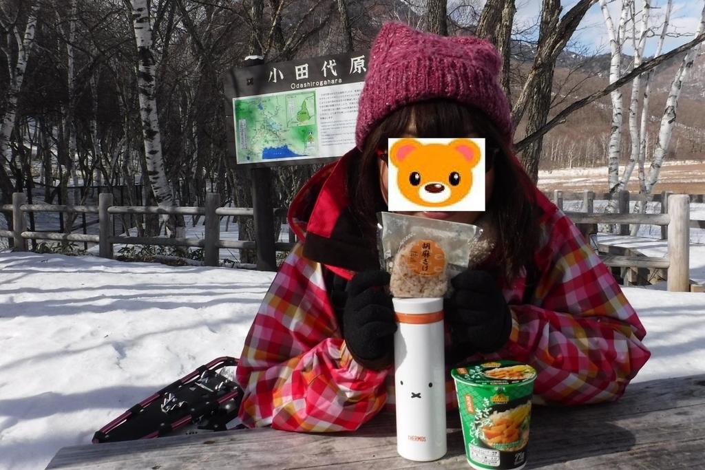 f:id:hirotaka72:20190223132120j:plain f:id:hirotaka72:20190223132120j:plain