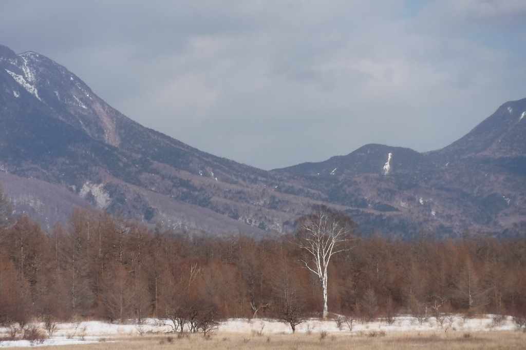 f:id:hirotaka72:20190223133548j:plain f:id:hirotaka72:20190223133548j:plain