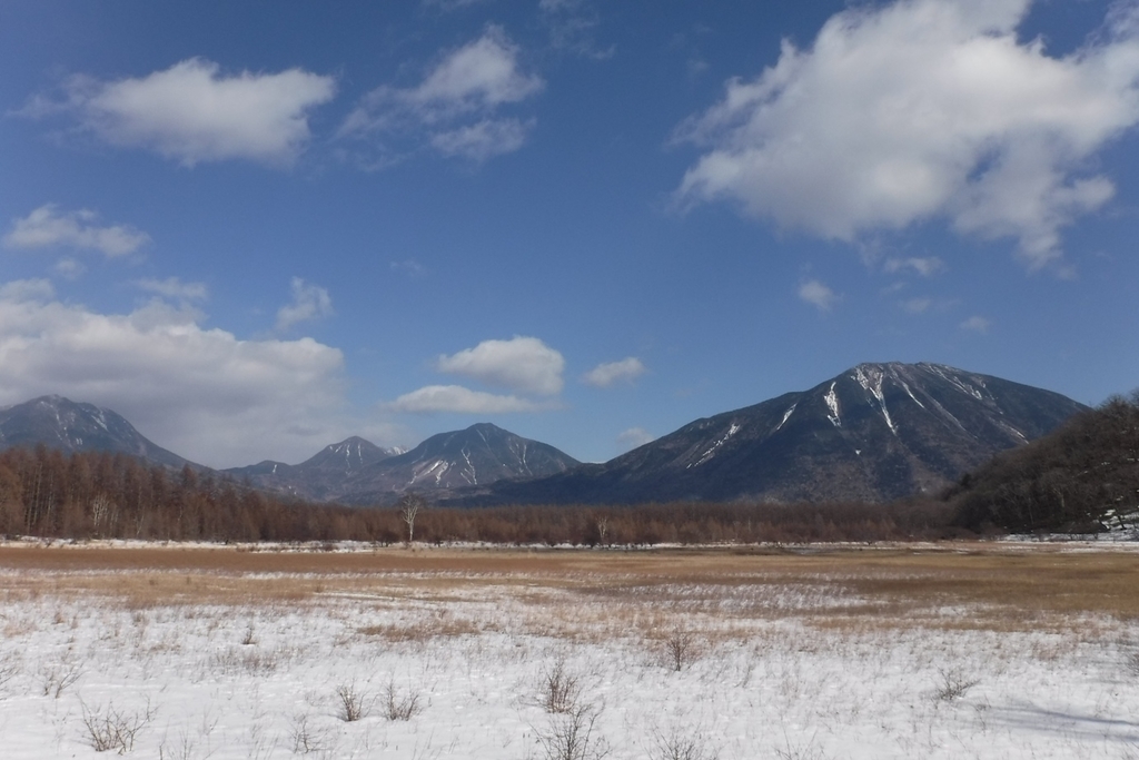 f:id:hirotaka72:20190223133638j:plain f:id:hirotaka72:20190223133638j:plain