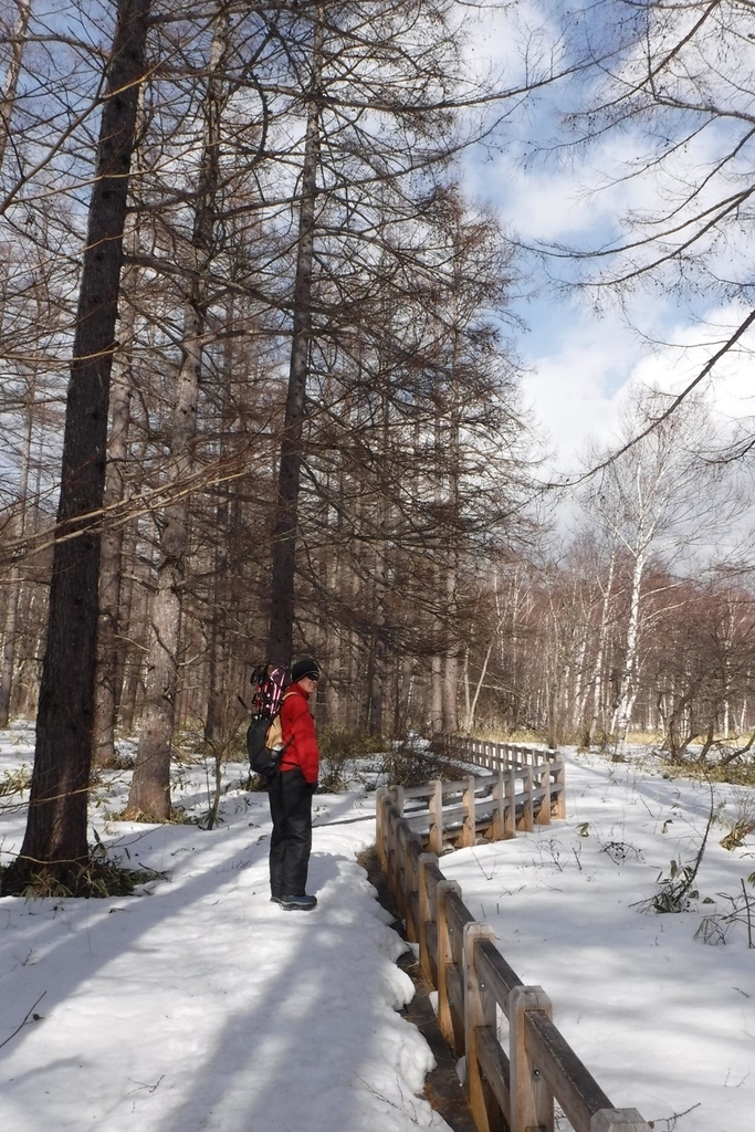 f:id:hirotaka72:20190223135253j:plain f:id:hirotaka72:20190223135253j:plain