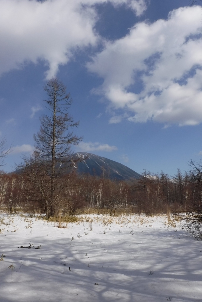 f:id:hirotaka72:20190223135358j:plain f:id:hirotaka72:20190223135358j:plain