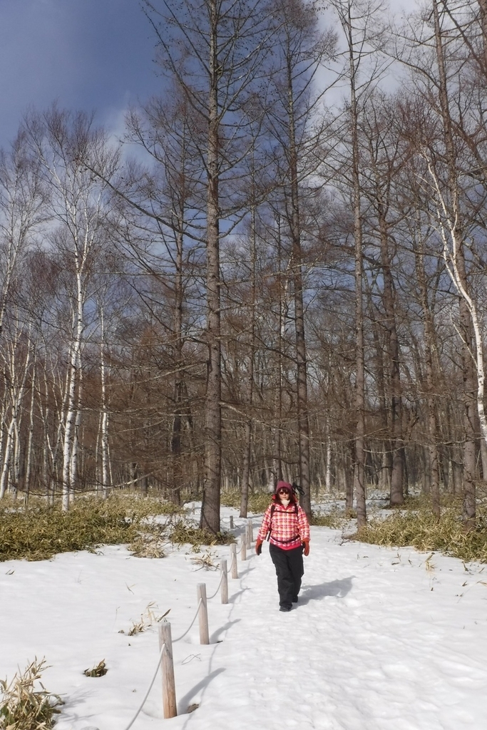 f:id:hirotaka72:20190223135812j:plain f:id:hirotaka72:20190223135812j:plain