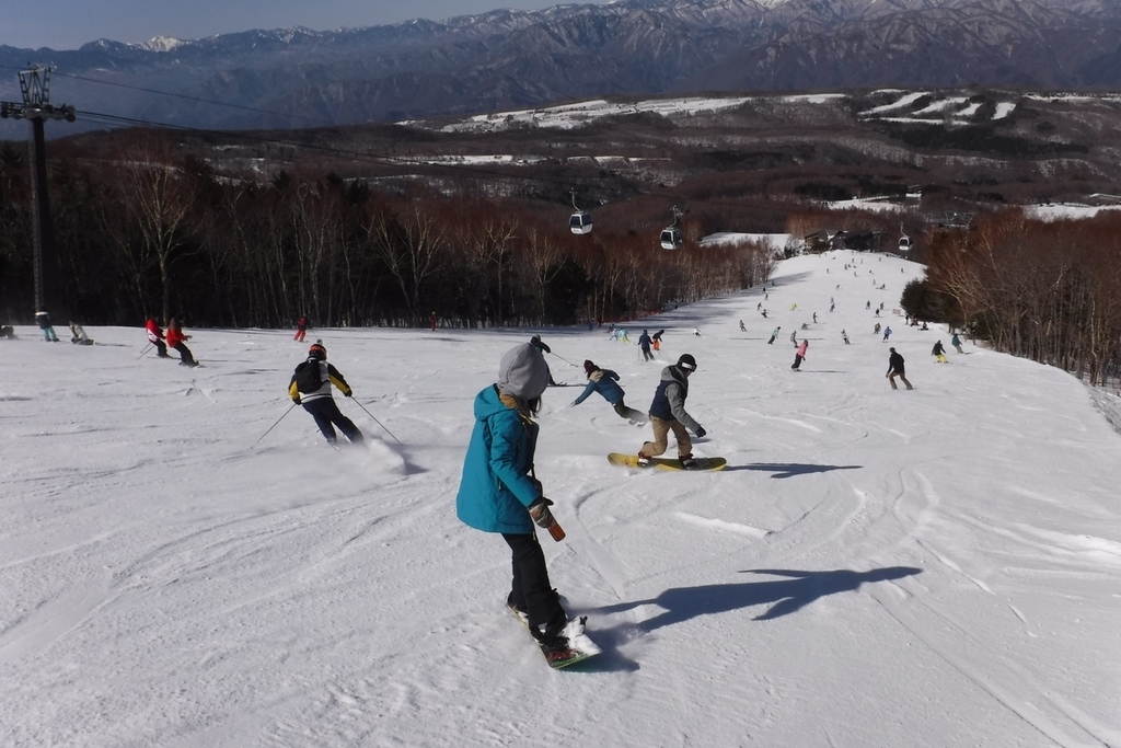 f:id:hirotaka72:20190224101528j:plain f:id:hirotaka72:20190224101528j:plain