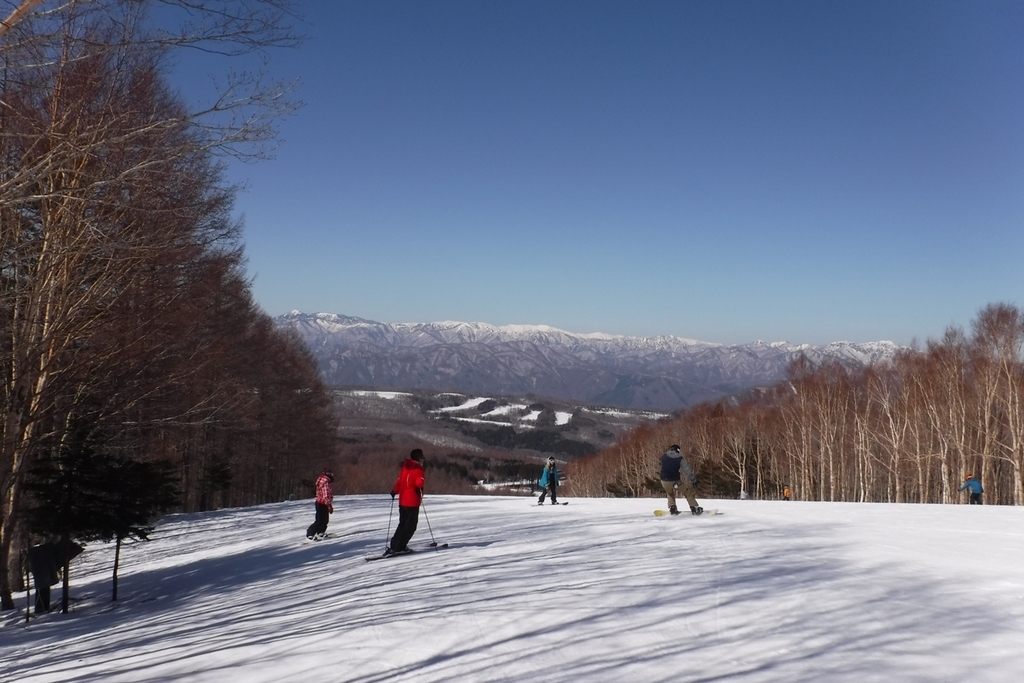 f:id:hirotaka72:20190224105207j:plain f:id:hirotaka72:20190224105207j:plain