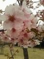 20190316130655