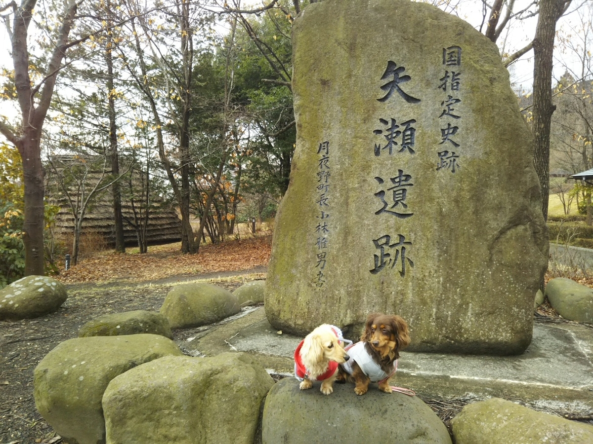 f:id:hirotaka72:20190331085137j:plain